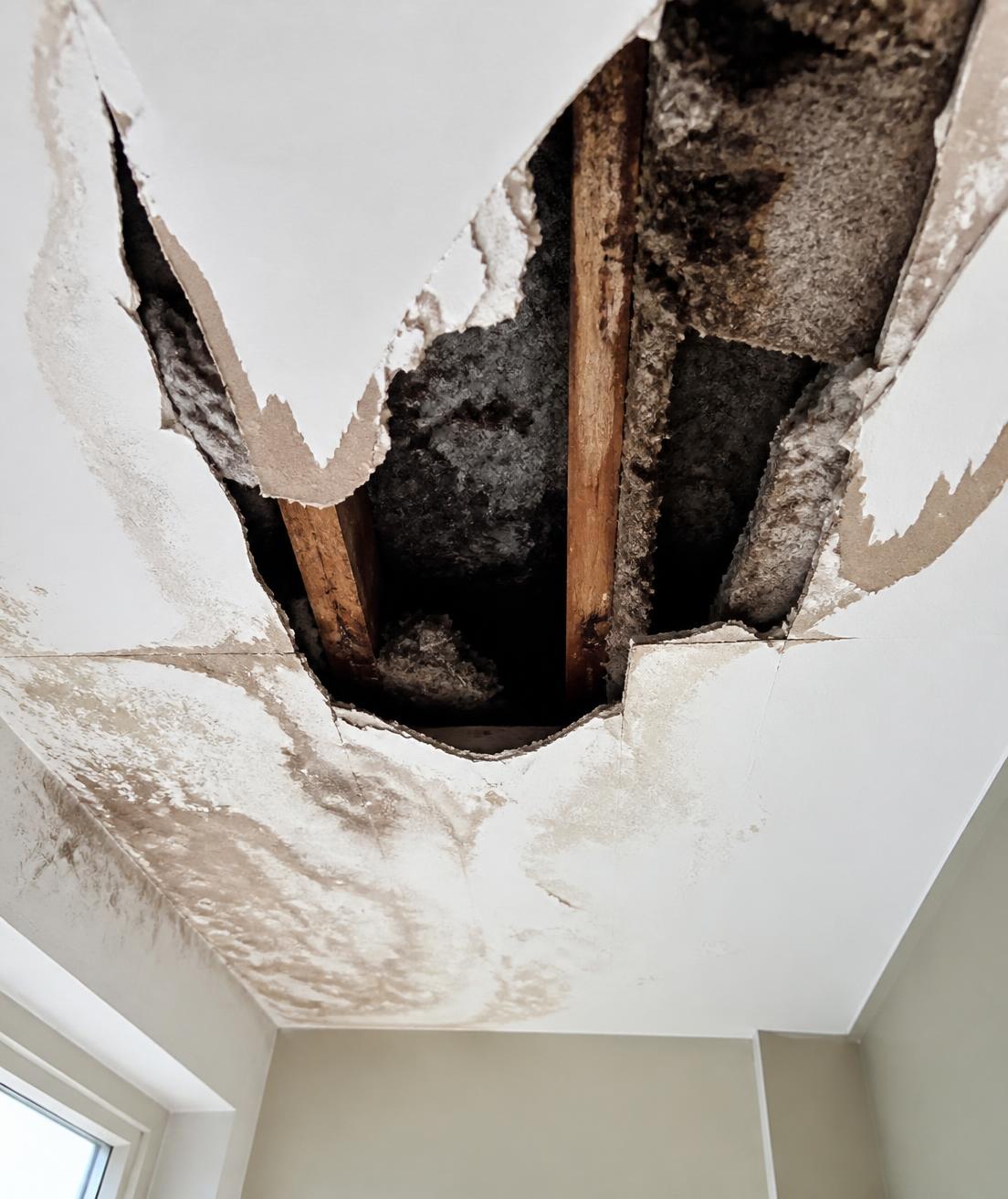 Cielo interior de vivienda dañado por ingreso de agua lluvia, con plancha rota y aislación expuesta